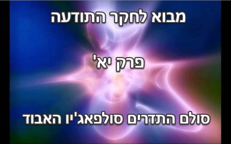 פרק יא' - סולם התדרים סולפג’יו - (Solfeggio frequencies)