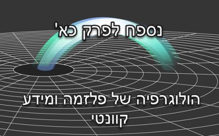 נספח לפרק כא' - פלזמה והולוגרפית מידע קוונטית