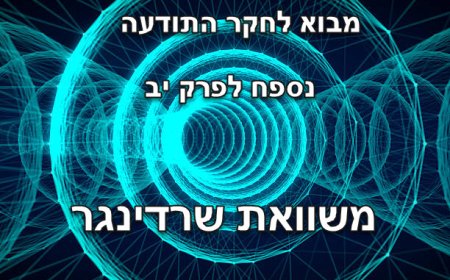 נספח לפרק יב - משוואת שרדינגר וההקשר לתודעה