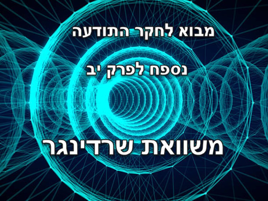 נספח לפרק יב - משוואת שרדינגר וההקשר לתודעה
