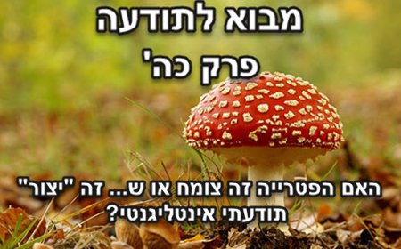 האם הפטרייה זה צומח או ש... זה "יצור" תודעתי אינטליגנטי ?