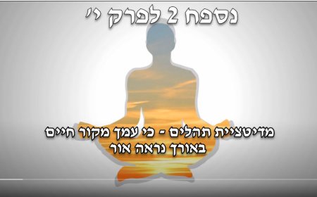 נספח 2 לפרק י'  - מדיטציית תהלים - כִּי־עִמְּךָ מְקוֹר חַיִּים בְּאוֹרְךָ נִרְאֶה־אוֹר