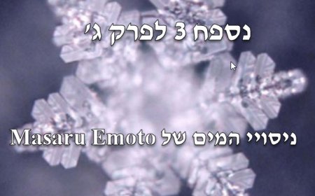 נספח 3 לפרק ג' - ניסויי המים של ד”ר מָסָארוֹ אִמוֹטוֹ