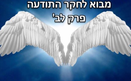 האדם כמלאך- אבחנה של מצב תודעתי