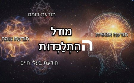 פרק נ' - מודל הִתְלַכְּדוּת (Coalescence) - העיקרים וחומר למחשבה הקשורים ל- 7 התודעות.