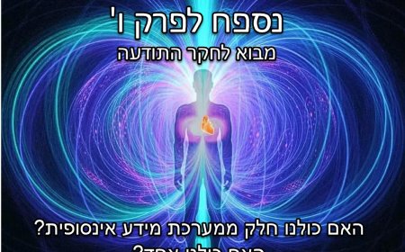 נספח פרק ו - האם כולנו חלק ממערכת מידע קוונטית אינסופית? האם כולנו 'אחד'?
