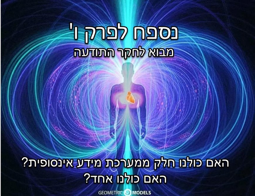 נספח פרק ו - האם כולנו חלק ממערכת מידע קוונטית אינסופית? האם כולנו 'אחד'?