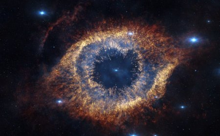 פרק עג' - ביו-צנטריזם (Biocentrism) - השקפתו והתיאוריה של ד"ר רוברט לאנזה.