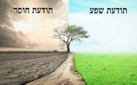 פרק קנב' - 'תודעת חוסר' - לא מה שחסר לכם עוצר אתכם, אלא איך שאתם מדברים על מה שחסר לכם.