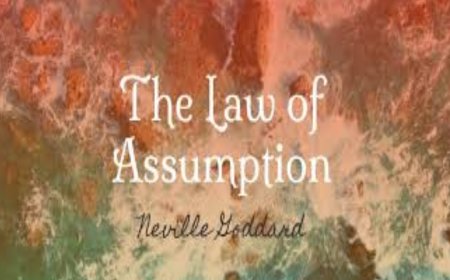 פרק קנה' - 'חוק ההנחות' - The law of assumptions - תירגול יישומי מעשי