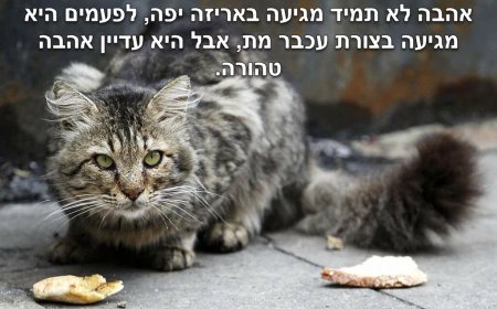 פרק קני' - 'תודעת החתול' ומה זה אומר עלינו, בני האדם