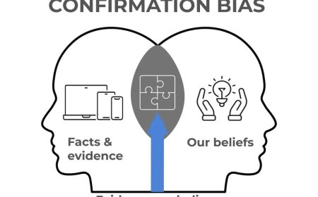 פרק קסב' - הטיית האישור (Confirmation Bias) ותפיסה חזותית (Visual Perception)